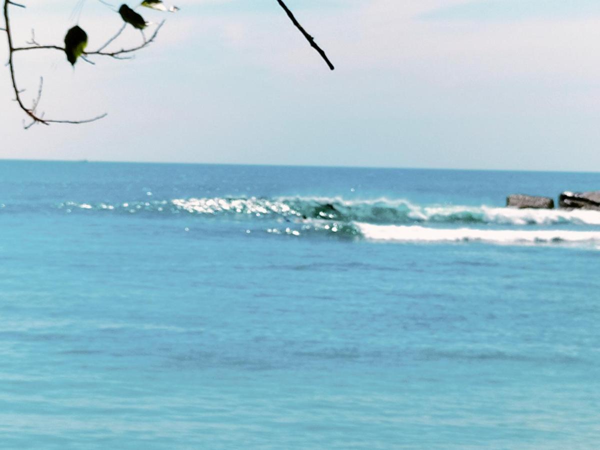 Secret Swell Otel Tangalle Dış mekan fotoğraf