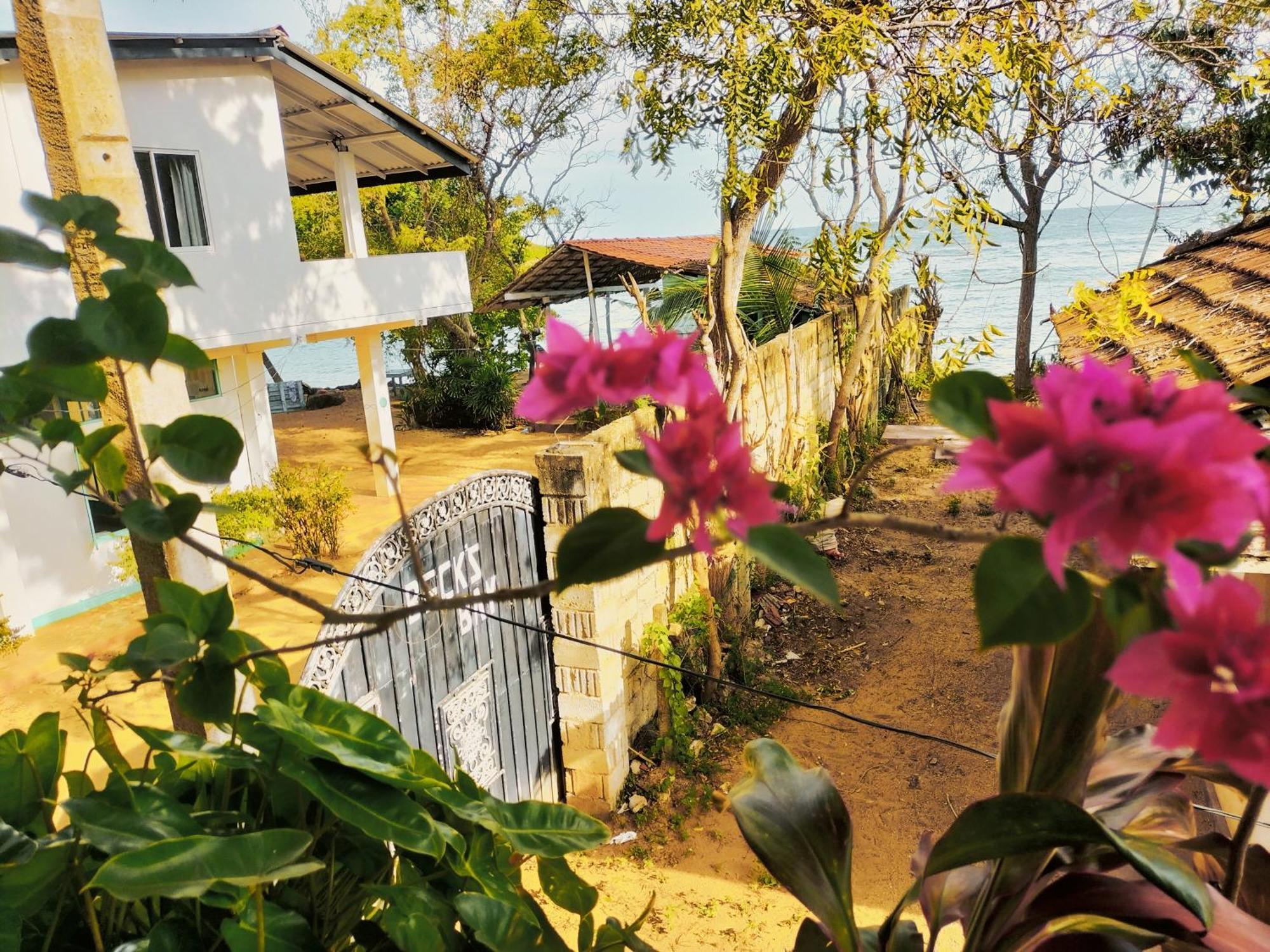 Secret Swell Otel Tangalle Oda fotoğraf